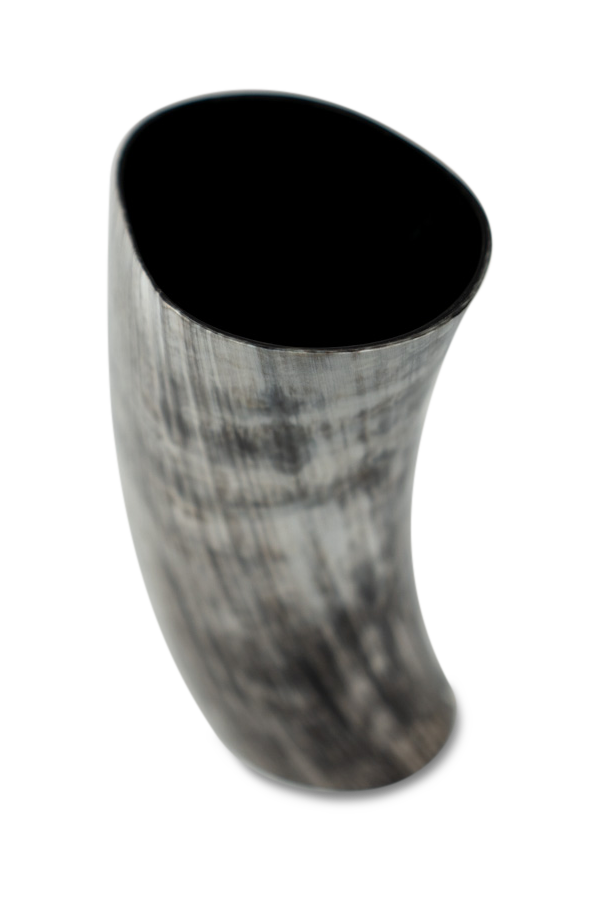 Cattle Horn Vase 10" BraveWorks