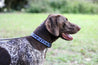 Medium Kenyan Beaded Dog Collar