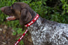 Medium Kenyan Beaded Dog Collar
