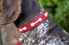 Medium Kenyan Beaded Dog Collar