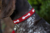 Medium Kenyan Beaded Dog Collar