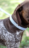 Medium Kenyan Beaded Dog Collar