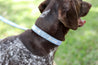 Medium Kenyan Beaded Dog Collar