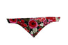 Naguru Small Dog Bandana