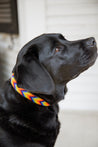 Medium Kenyan Beaded Dog Collar