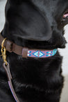 Medium Kenyan Beaded Dog Collar
