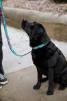 Medium Kenyan Beaded Dog Collar