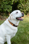 Large Kenyan Beaded Dog Collar