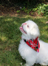 Naguru Small Dog Bandana