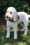 Naguru Medium Dog Bandana