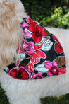 Naguru Medium Dog Bandana