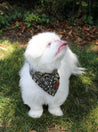 Naguru Small Dog Bandana