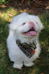 Naguru Small Dog Bandana