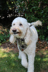 Naguru Medium Dog Bandana