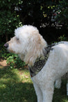 Naguru Medium Dog Bandana