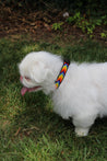 Small Kenyan Beaded Dog Collar