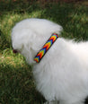 Small Kenyan Beaded Dog Collar