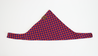 Naguru Dog Bandana